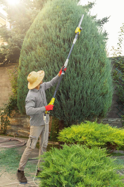 Best Seasonal Cleanup (Spring/Fall)  in Point, TX